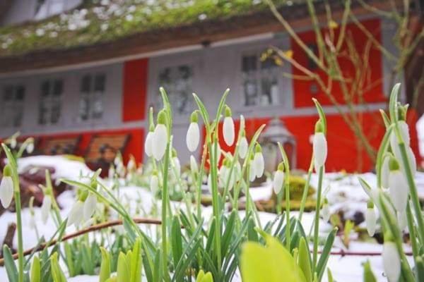 Wohnungen Unter Reet Krems Zwei Ngoại thất bức ảnh